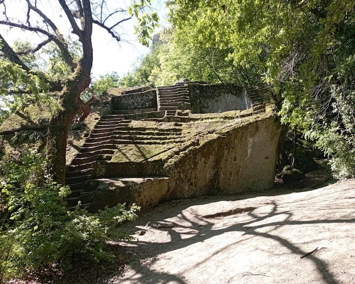 Ancient stone steps leading up to a structure surrounded by trees. 1
