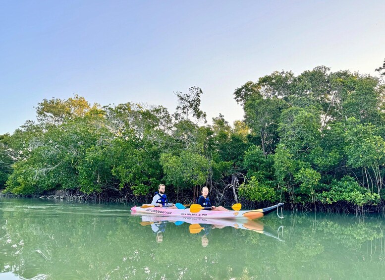 Deux personnes dans un kayak sur une rivière paisible, entourée d’une végétation dense de mangroves. 3