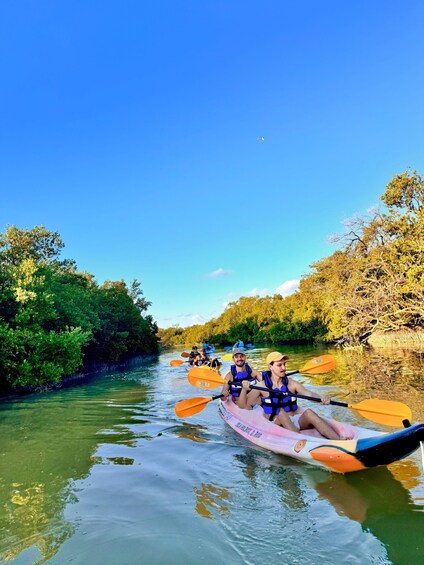 Un groupe de personnes pratiquant le kayak sur une rivière, entourée d’une végétation luxuriante. 4