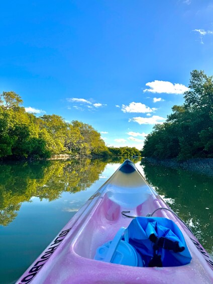 Un kayak sur une rivière paisible, bordée de chaque côté d’une végétation luxuriante et verdoyante. 2