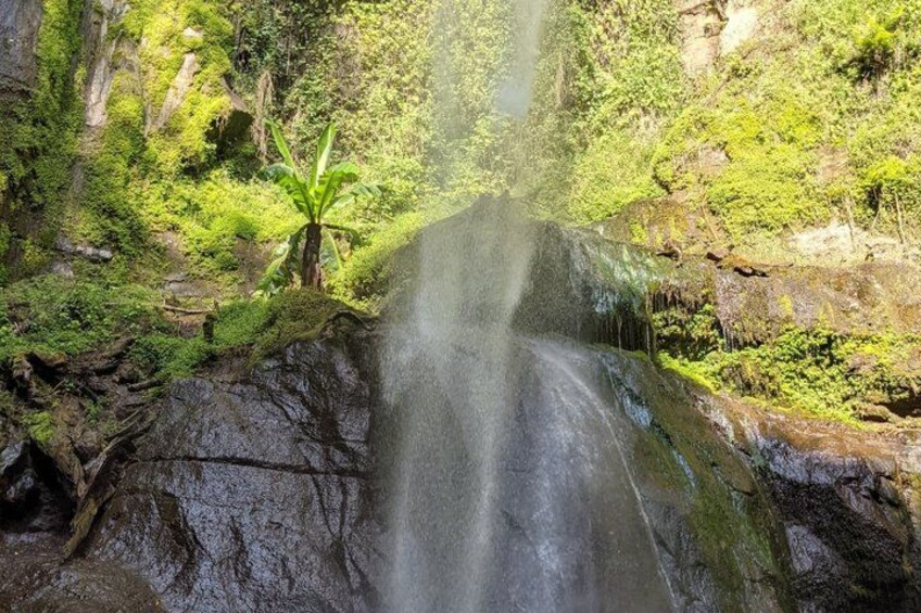 A waterfall cascading over rocks surrounded by lush greenery. 4