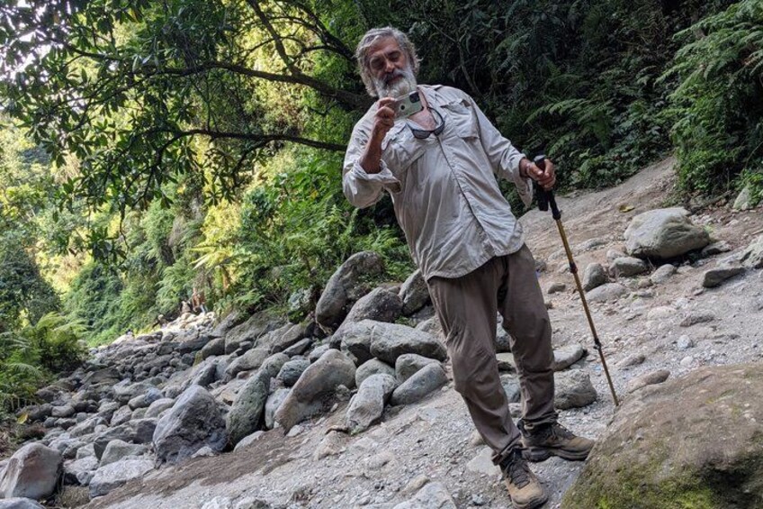 A person hiking on a rocky trail surrounded by dense forest. 5