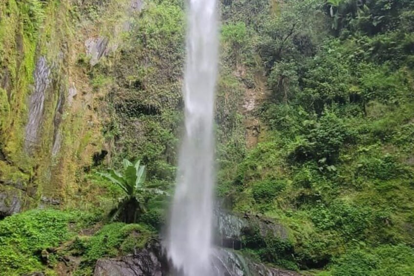 A waterfall cascading down a rocky cliff surrounded by lush greenery. 1