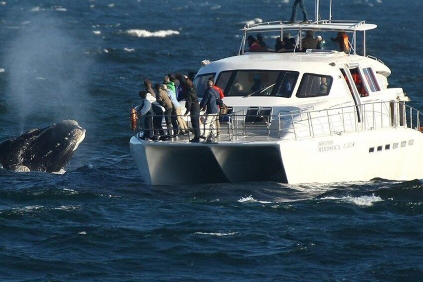 A boat with people observing a whale breaching the water. 5