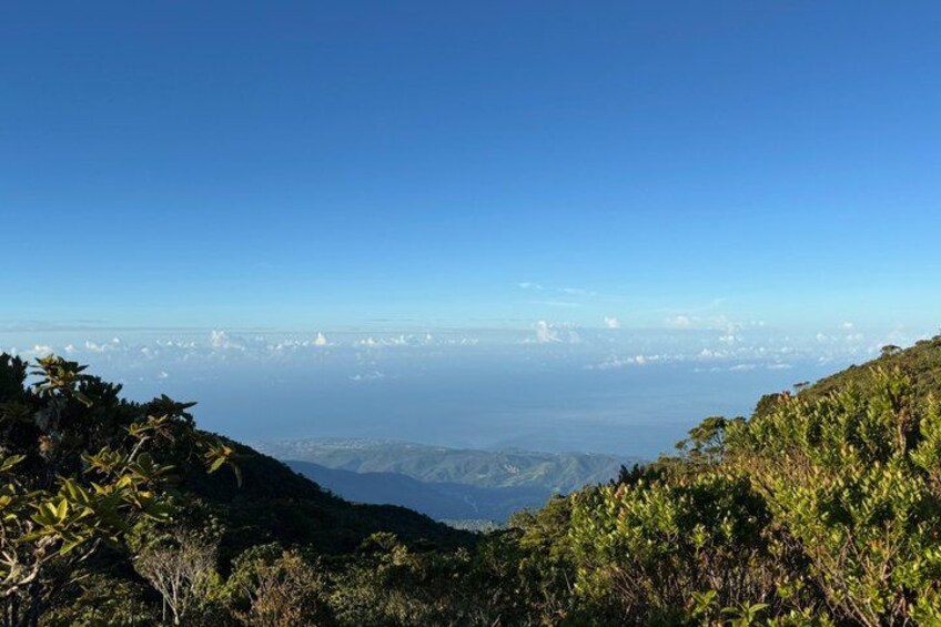 A mountainous landscape with dense vegetation and a clear blue sky. 4