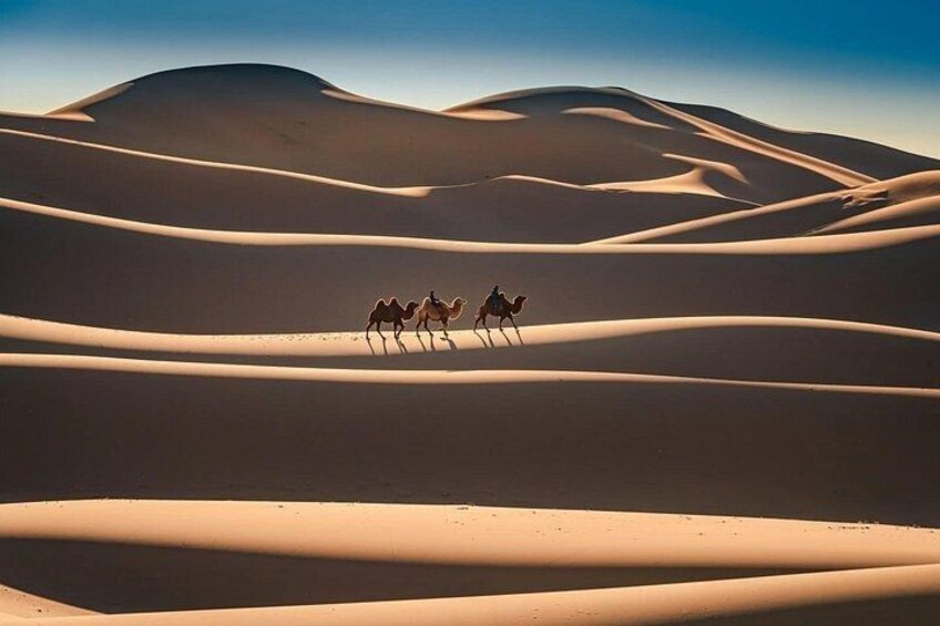 A desert landscape with sand dunes and camels. 1