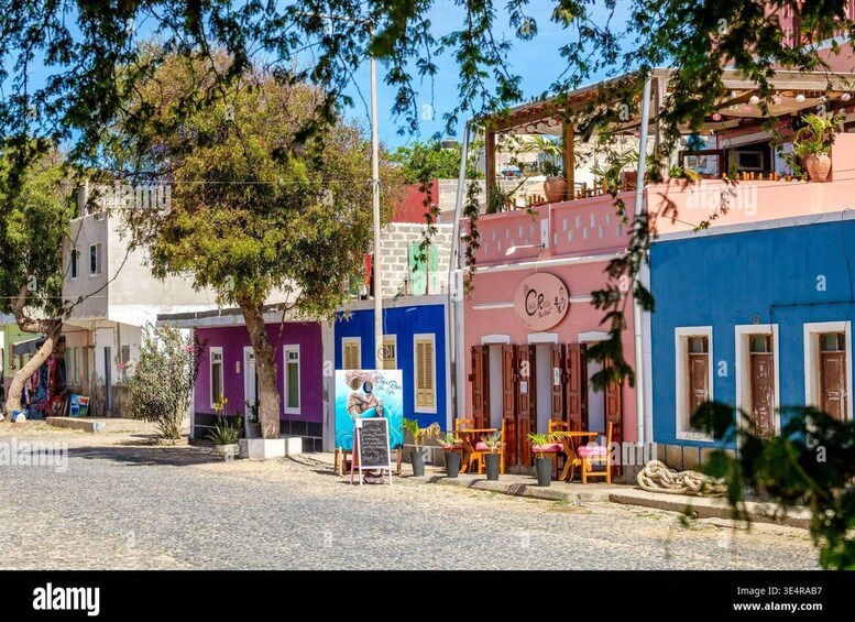 A cobblestone street lined with colorful buildings, a café with outdoor seating, and a large tree providing shade. 4