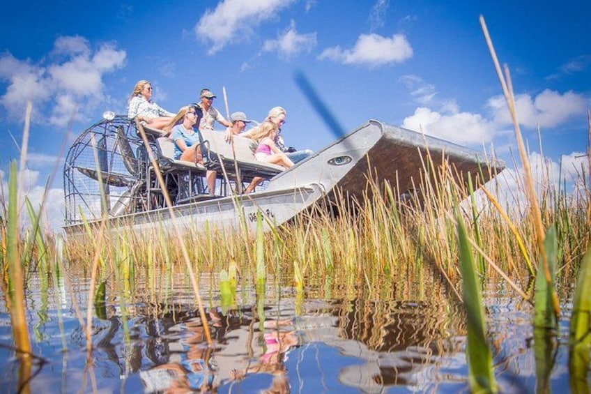 A group of people on a boat in a marshy area with tall grasses and water. 1
