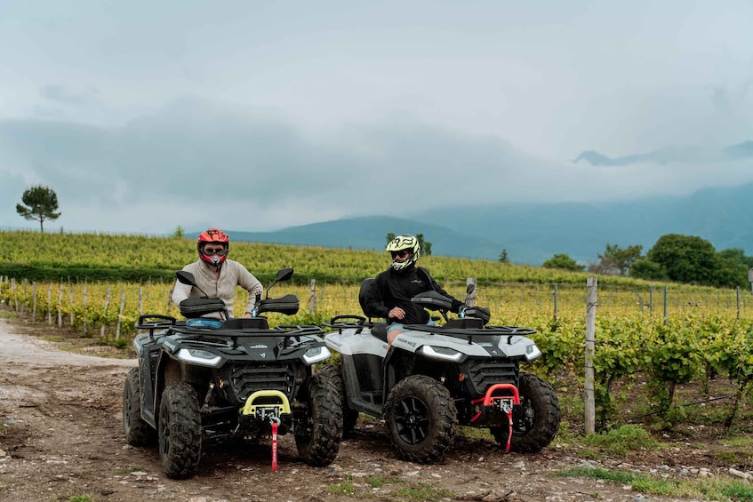 Two people on ATVs in a vineyard with mountains in the background. 2