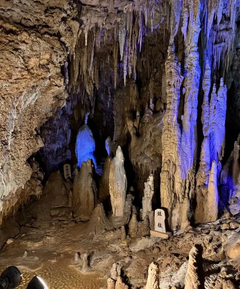 Picture 3 for Activity Okinawa World Ticket: Gyokusendo Cave & Habu Museum 3