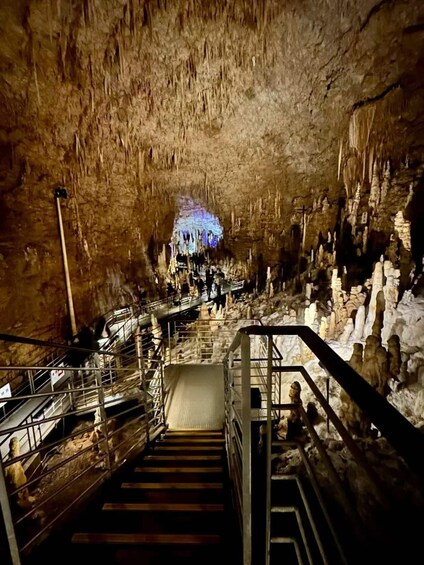Okinawa World Ticket: Gyokusendo Cave & Habu Museum 1