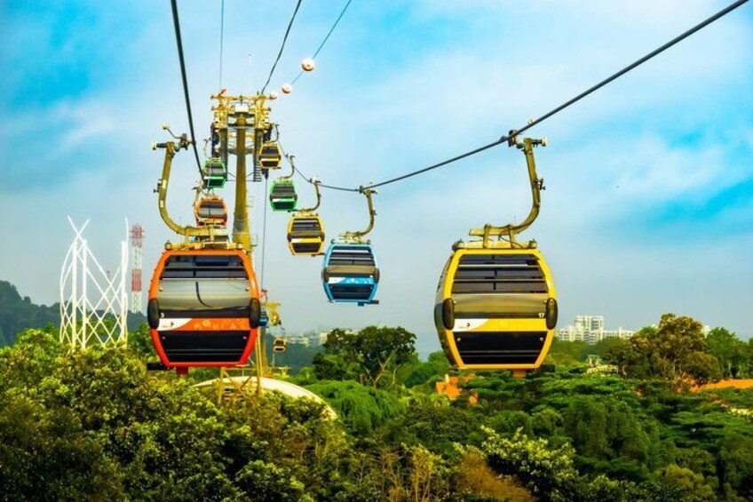A cable car system with multiple gondolas suspended from cables, set against a backdrop of lush greenery and distant buildings. 5