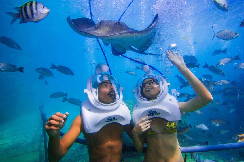 Two people snorkeling underwater with a manta ray and various fish in the background. 3