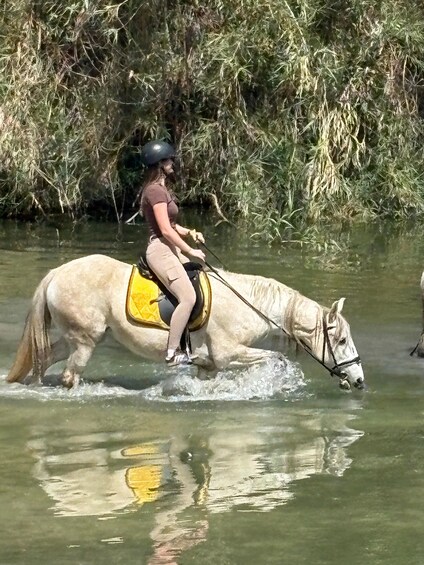 Eine Person reitet auf einem weißen Pferd durch flaches Wasser, umgeben von dichtem Grün. 4