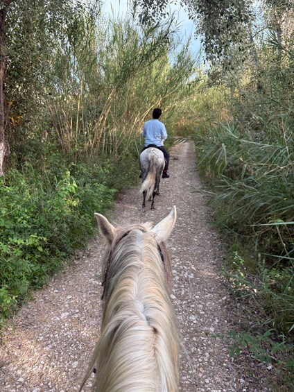 Ein Reiter mit Pferd auf einem Schotterweg, umgeben von dichter Vegetation. 2