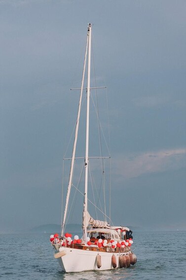 A sailboat with multiple masts and a covered deck, floating on calm water. 1