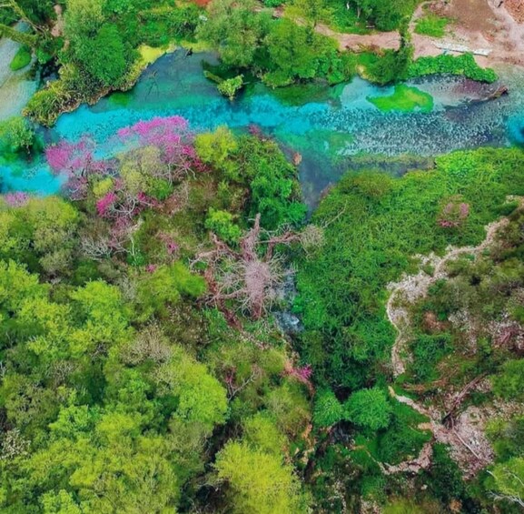 Un paisaje verde exuberante con un río azul cristalino. 1