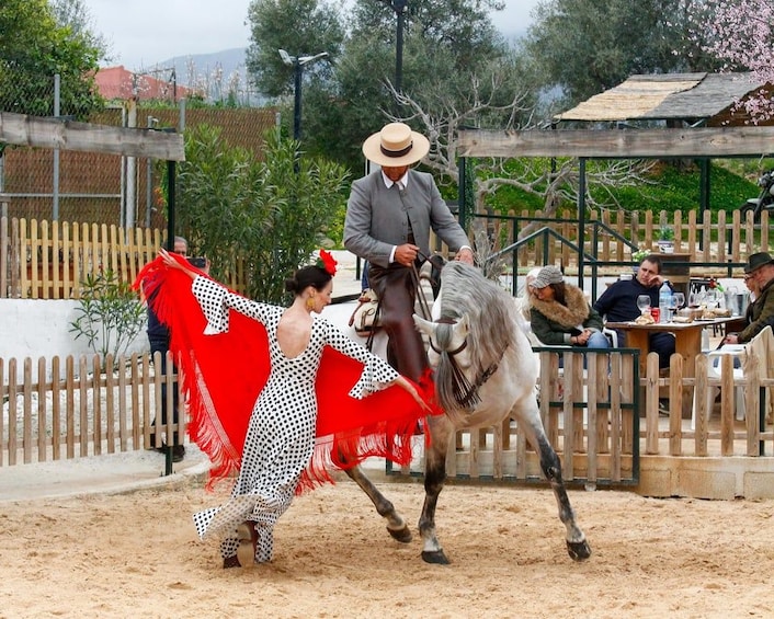 Eine Person reitet ein Pferd in einer Reithalle im Freien, im Hintergrund sind Zuschauer zu sehen. 2