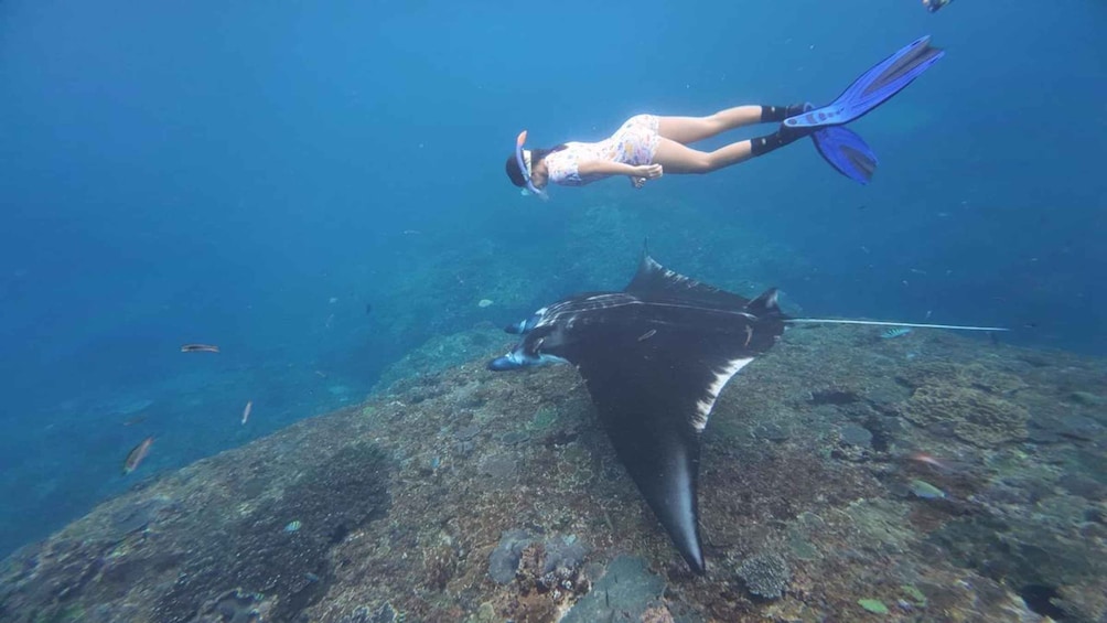 A person scuba diving near a stingray on the ocean floor. 2