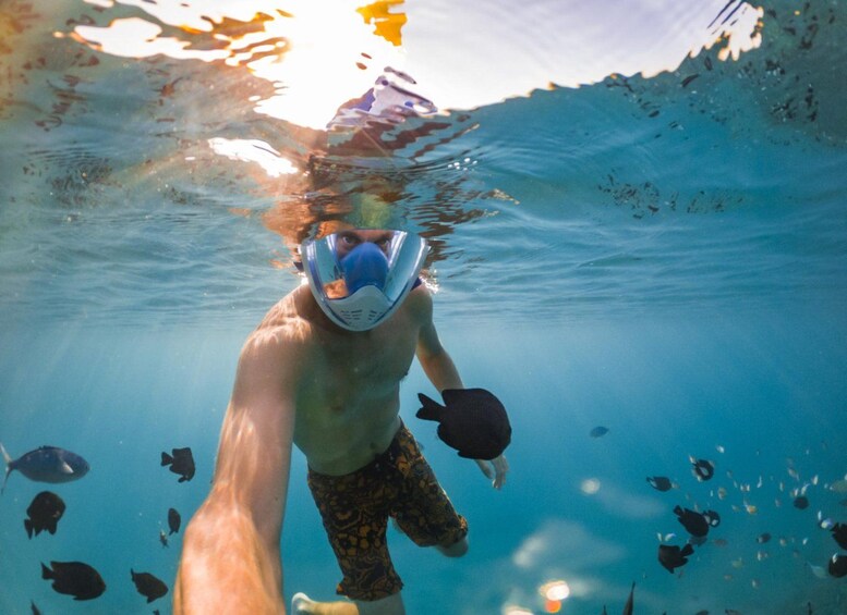 Una persona bajo el agua con un casco, rodeada de peces. 2