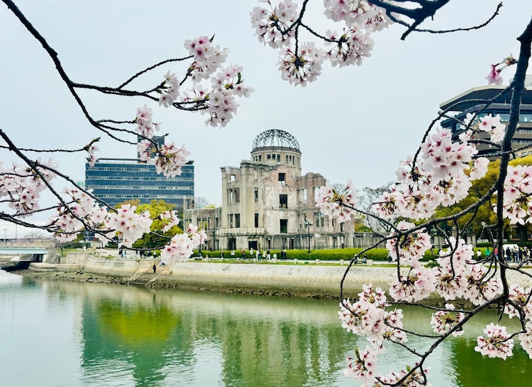 Un cerisier en fleurs devant un bâtiment historique surmonté d’un dôme. 3