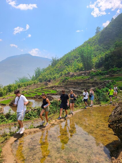 Un groupe de personnes fait de la randonnée sur un sentier rocailleux, avec une chaîne de montagnes en arrière-plan. 1