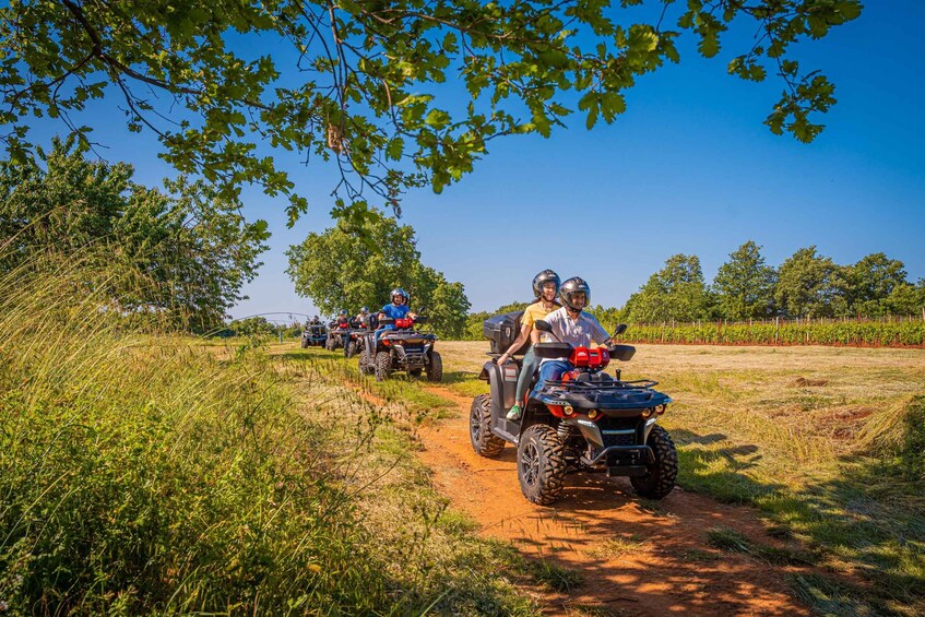 A group of people riding ATVs on a dirt path surrounded by greenery. 5