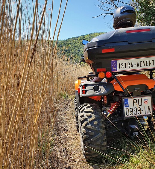 A quad bike with a license plate 'ISTRA-ADVENT' and 'RU 0999-IA' parked on a dirt path surrounded by tall grass and trees. 2