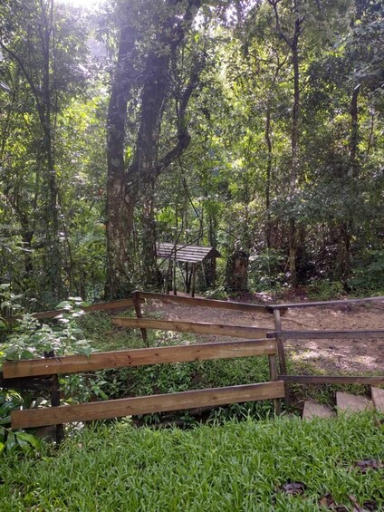 A forested area with a wooden bridge and a small shelter. 3
