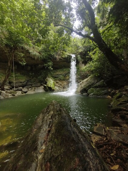 A waterfall in a forested area with a clear stream below. 1
