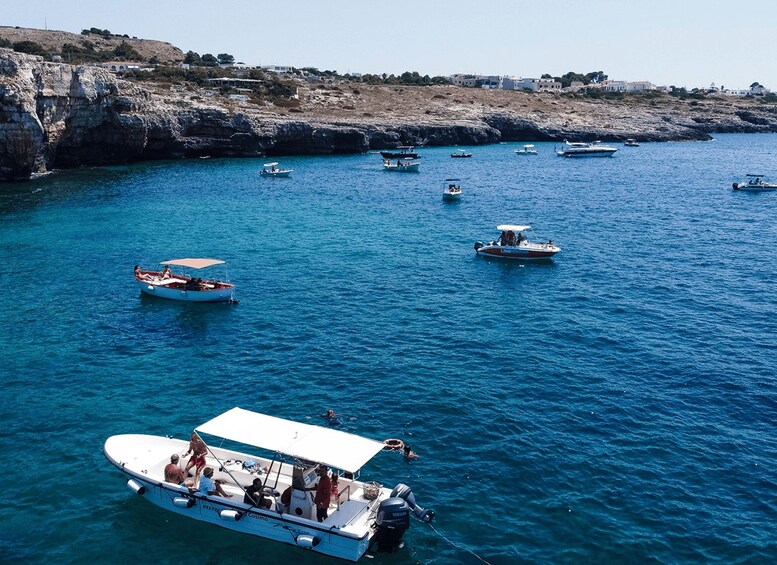 A coastal area with multiple boats on the water, rocky cliffs, and buildings in the background. 2