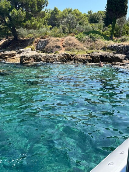 Clear water, rocky shoreline, and green vegetation. 2
