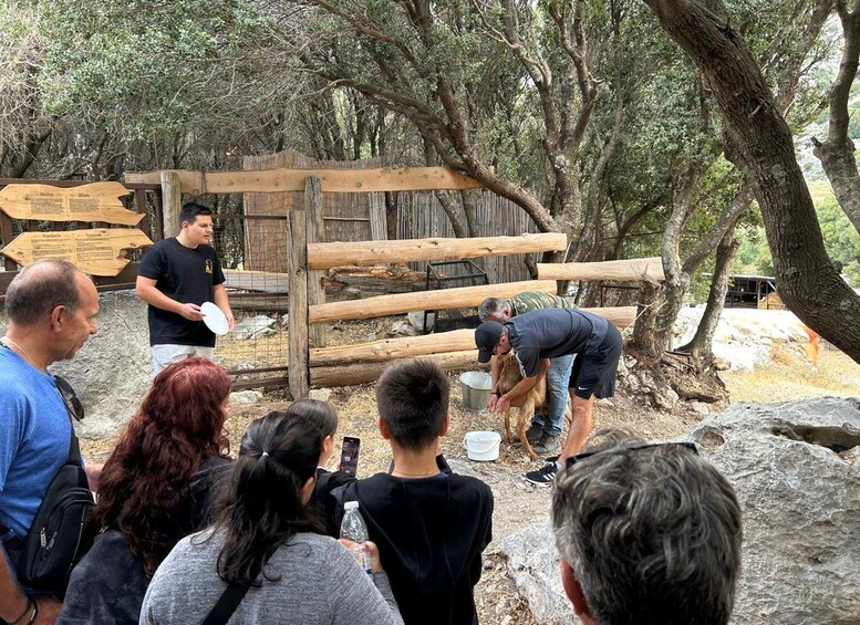 A group of people observing a dog in a fenced area with wooden structures. 3