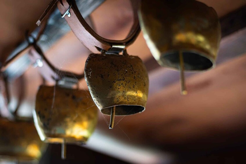 A series of brass bells suspended from a metal structure. 5
