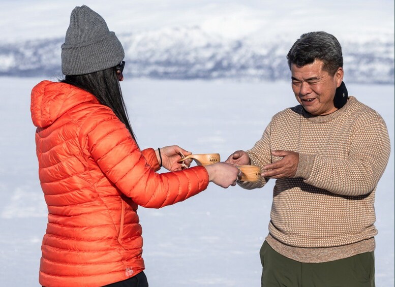 Abisko National Park: Arctic Stories of Abisko 1