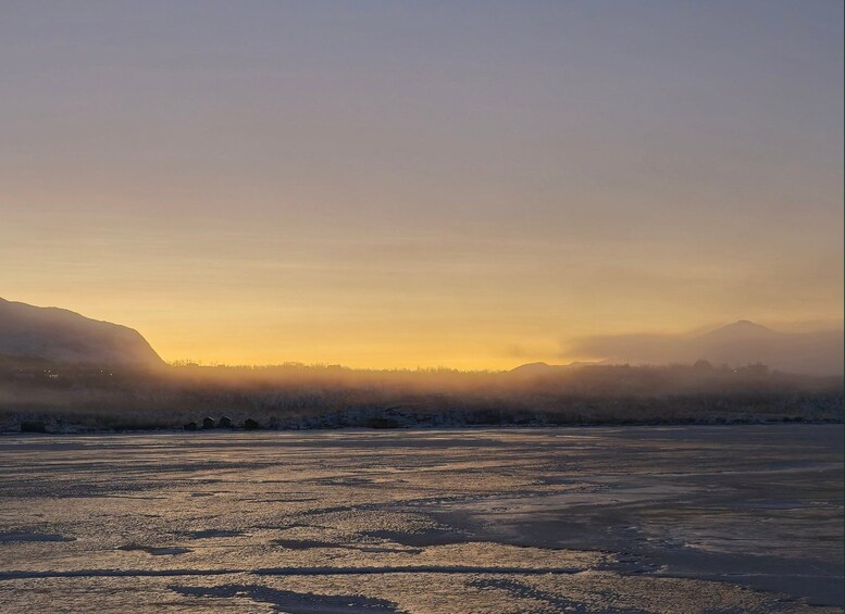 Picture 8 for Activity Abisko National Park: Arctic Stories of Abisko 5