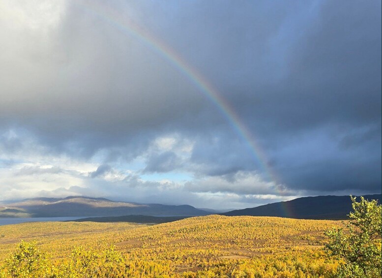 Picture 9 for Activity Abisko National Park: Arctic Stories of Abisko 2