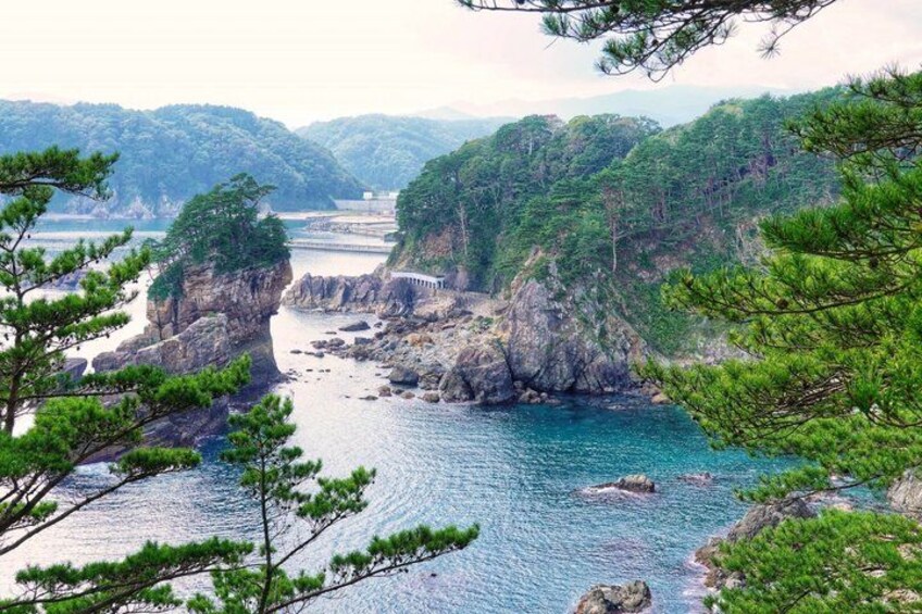 A coastal landscape with rocky cliffs, a clear blue sea, and dense green forest. 1