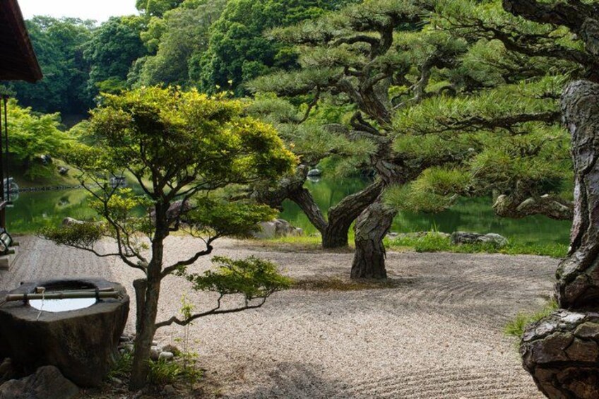 Un jardín japonés tranquilo con un sendero de grava, un estanque pequeño y árboles maduros. 5