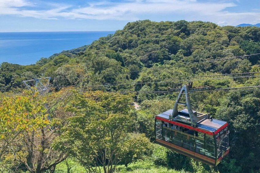 A cable car system in a forested area with a view of the ocean. 4