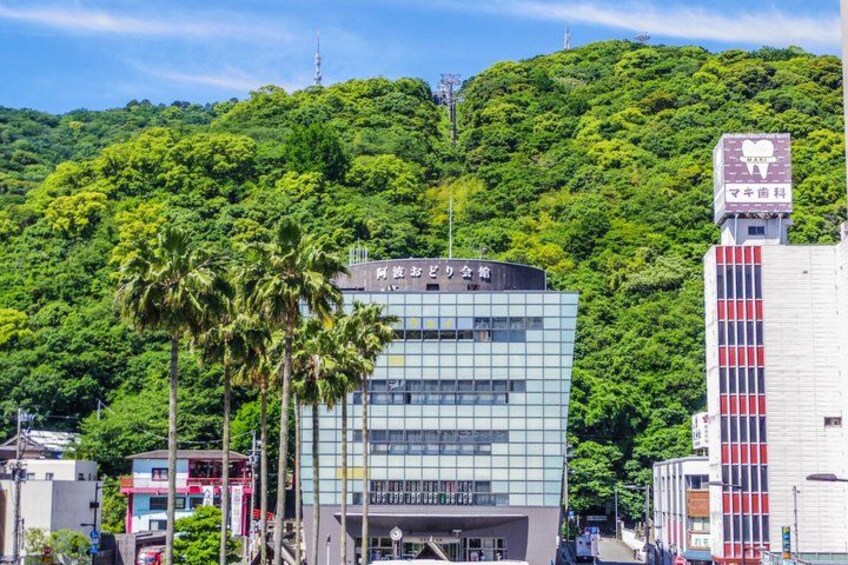 A modern building with glass windows, surrounded by palm trees and a lush green hill in the background. 2