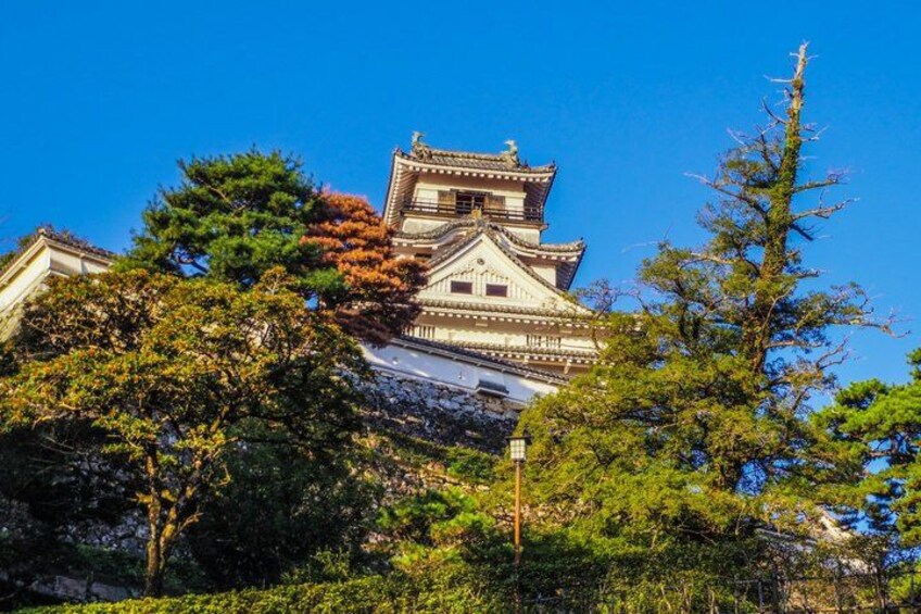 A traditional Japanese castle with multiple tiers and a prominent central tower, surrounded by lush greenery. 5