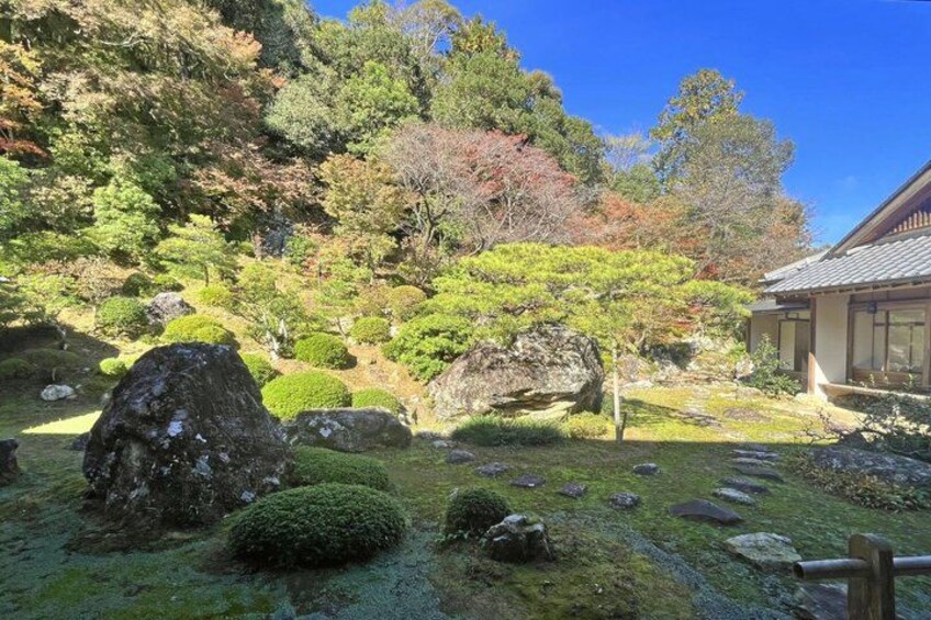 A traditional Japanese garden with rocks, moss, and trees. 5