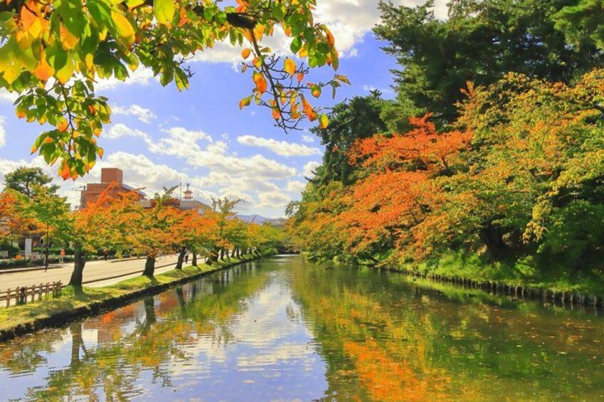 A calm river with trees reflecting in the water, surrounded by greenery and a clear sky. 3