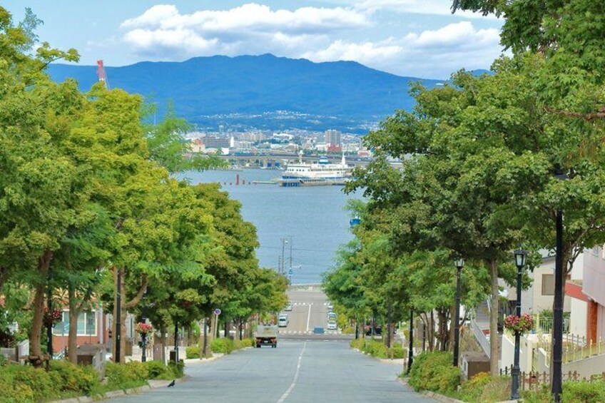 A tree-lined street leading to a body of water with a boat in the distance. 1