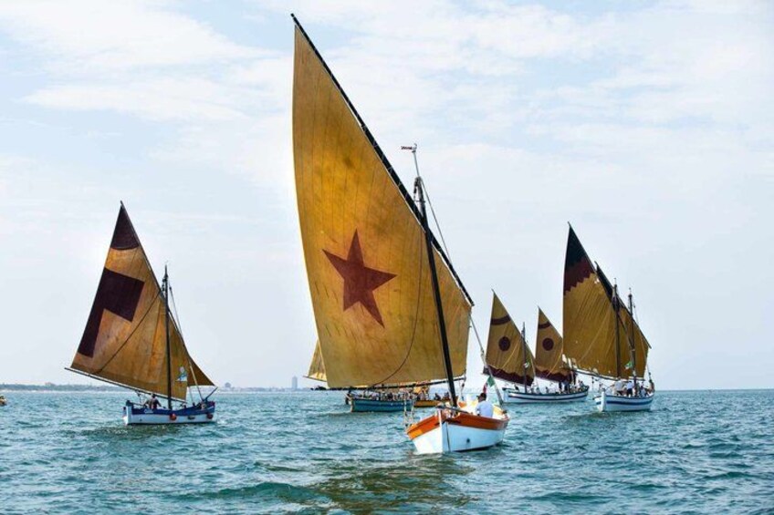 A fleet of traditional sailing boats with large sails, some with a red star emblem, on calm waters. 4