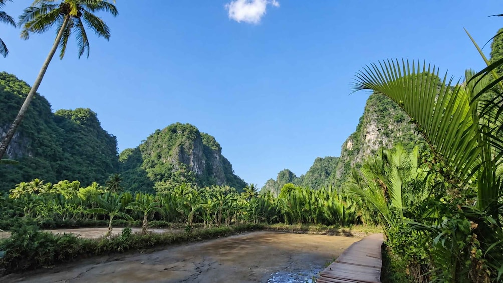 A tropical landscape with a river, palm trees, and a mountain in the background. 3