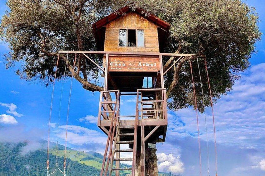 A treehouse with a wooden structure, a ladder, and a sign that reads 'Casa del Arbol.' 4