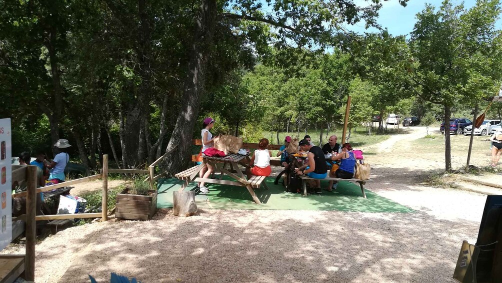 A group of people sitting at wooden picnic tables outdoors, surrounded by trees. 3