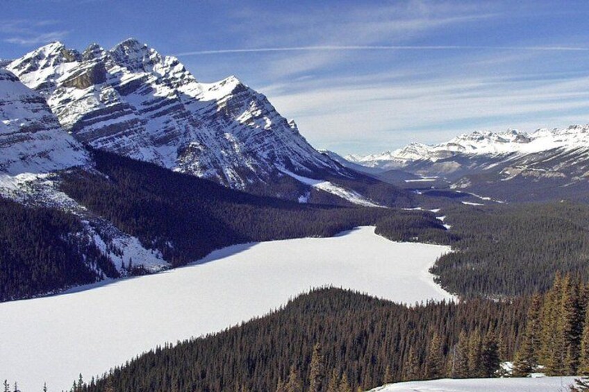 Private Tour of Abraham Lake Ice Bubbles and Icefields Parkway 3